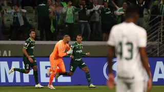 Abel Ferreira e jogadores defendem Breno Lopes após comemoração de gol