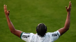 Coritiba, Athletico e Paraná deixam torcedores com “elefante atrás da orelha”