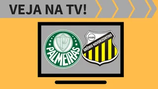 Palmeiras x Novorizontino AO VIVO: saiba como assistir ao jogo