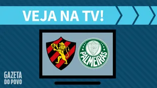 Sport x Palmeiras AO VIVO: saiba como assistir ao jogo na TV