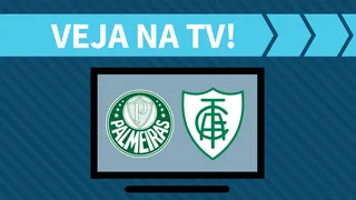 Palmeiras x América-MG AO VIVO: saiba como assistir ao jogo na TV