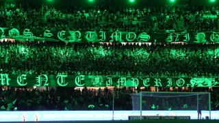 Coritiba registra segundo melhor público no Brasileirão, mas derrete no fim e revive o Grêmio