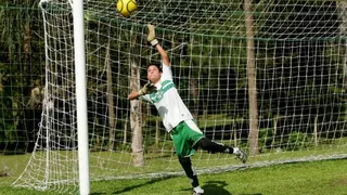 Fenômeno alviverde