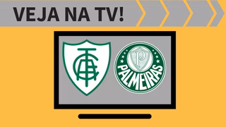 América-MG x Palmeiras AO VIVO: saiba como assistir ao jogo na TV