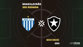 Avaí x Botafogo: veja onde assistir ao vivo, horário, escalações e arbitragem
