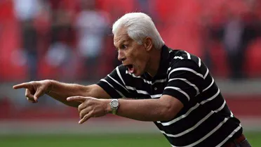 Leão, o agricultor!