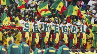 Inglaterra x Senegal: assistir ao vivo, escalações prováveis, horário e arbitragem