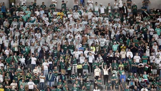 Ingressos esgotados para a torcida  do Palmeiras para a final da Recopa