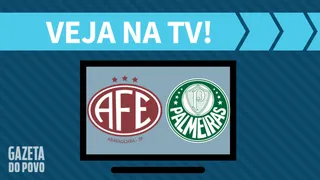 Ferroviária x Palmeiras AO VIVO: saiba como assistir ao jogo na TV
